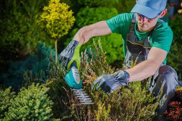 landscaping services Miamitown